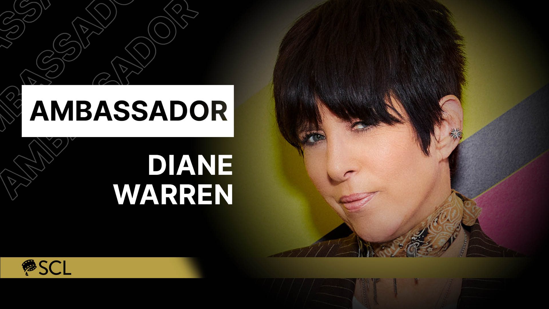 DIANE WARREN A PASSION OF MUSIC 6枚組 AOR Diane Warren – A Passion For Music – Box Set (Compilation